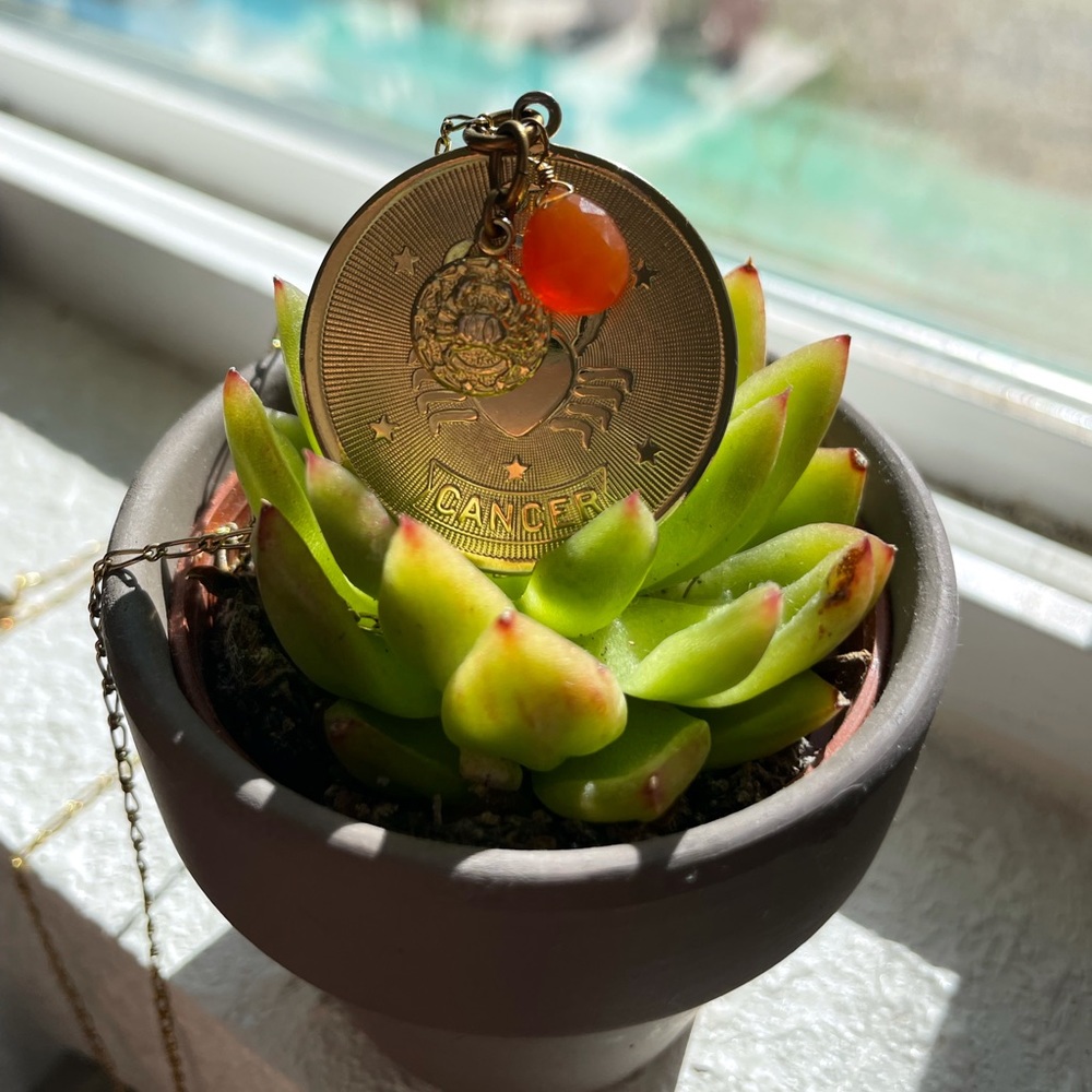 Shoptiques long cancer zodiac necklace gold
